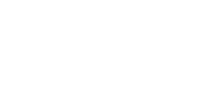 MISIÓN (1)