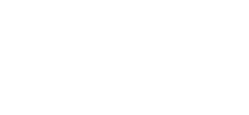 MISIÓN (2)